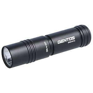 �����d�� ���^ LED���C�g �P3�d�r�� 120���[���� SNM-H31D �n���f�B���C�g �t���b�V�����C�g