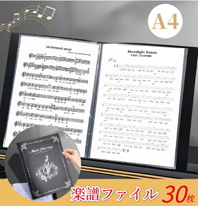 �y���t�@�C�� �N���A�t�@�C�� 30�� A4 �������߂� �o���h�t�@�C�� �y������ �y���m�[�g ���ʕ\���Ɣ񔽎� �����}�� �h�� �J�L�R ���� ���t�y �䎆 ���t ���t�y �s�A�m �o���h