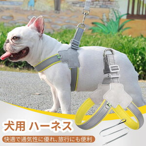 �y���[�z�� �n�[�l�X ���^�� �T�C�Y�����\ �ʋC�� ���p�n�[�l�X �ȒP���E ��������h�~ ���q�h�~ �����^�т₷�� �P�� ���s�⏕ �y�� �U����O�o�ɍœK �C�F���[ �����֑�������