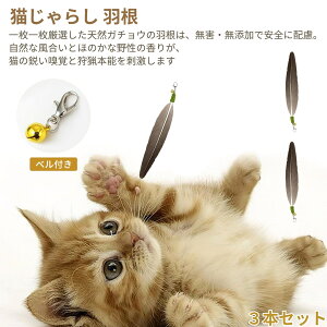 [aninako] L炵 VRH p 3{ZbgL H H VR xt XgX ₷ VȒf ^  Vѓ ^s OȂ ނƂȂ ybgpi 