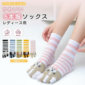 y[zy5Zbgz\bNX 5{w\bNX C fB[X ܖ{wC  C RۖhL L jɂ v X|[c 5 ₦ FႢ̑gݍ킹  _炩 