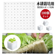 【即納】【100個セット】水耕栽培 スポンジ 葉菜用培地 自作 種まき スポンジ ウレタン 培地 スクエア 水…