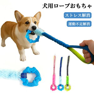 _|Cg4{}\Ԍ^yoׁz  [v  [v pߋ  Ȃ q ނS S v XgX ^s  