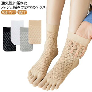 X|[c ܖ{w\bNX 5{wC ėp bV fB[X 8Zbg 5{w\bNX  Rbg h~ \bNX Xj[J[\bNX  ₩  n  L zCg 