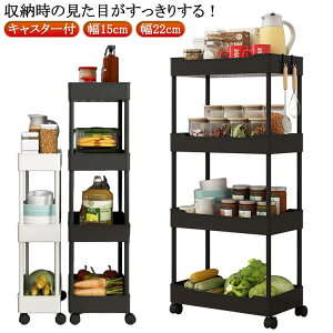 [S Xg[[ X 15cm Lb`Ԏ[ Ԏ[S   22cm [  ԃbN   LX^[t X[ Ԏ[S RpNg