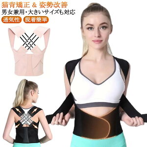 Lw   fB[X w؋xg q Lw xg j Lwxg pxg pT|[^[  Ci[ Y Lwxg 傫TCY  ڗȂ 