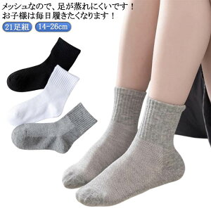 XN[ C LbY XN[\bNX 21g q C n bV 14-26cm qp w \bNX  C V[g\bNX j̎q ̎q j   킢 WjA 