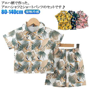 ڐG⊴ AnZbgAbv LbY q j̎q ̎q ㉺Zbg AnVc AnV[c Ђ  n[tpc Y{ nCA ][g WjA ĕ ĕ ؍q