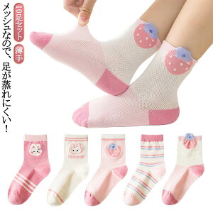 C LbY qC ̎q  bVC \bNX 10g WjA qp q \bNX  N[\bNX   ėp    w  w ۈ牀