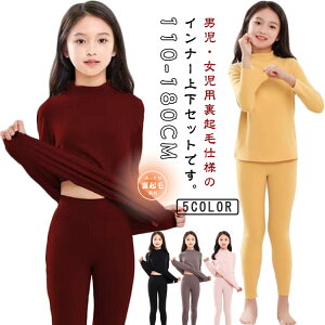 iCgEFA LbY _炩 q[gebN Ci[EFA N N H~ ZbgAbv  q  Ci[Vc ɒg ㉺Zbg ^[glbN ̎q nClbN  