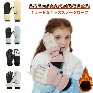 Xm[O[u LbY ~g XL[ q j̎q ̎q V Xm[ XL[ Xm[{[h 5{w ~g Xm{[ XL[EFA EB^[ h c ۈ牀 ct 