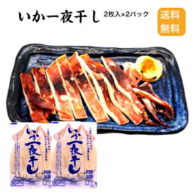 【送料無料】いか一夜干し2枚入×2パック いか一夜干し イカ焼き 焼いか イカ 国産いか 冷凍イカ バーベキュー キャンプ おつまみ 家飲み