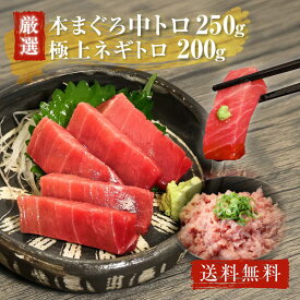 お中元 御中元 ギフト 海鮮 送料無料 中トロ250g ネギトロ200g まぐろ プレゼント 食べ物 刺身 プレゼント 本鮪 食べ物 贈り物 お礼 内祝い お返し グルメ 誕生日プレゼント 女性 食べ物 贈答用 寿司 おかず 本まぐろ 中トロ ねぎとろ お取り寄せグルメ 家飲み おつまみ