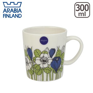 y|Cg5{ 11/15zArAiArabiaj NbJXiKrokusj}O 300ml 0.3L k tBh H wŃMtgÊ GF2 GF1