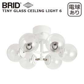 【クーポン4種あり】ブリッド BRID タイニー グラス シーリングライト 6灯 TINY GLASS CEILING LIGHT 6（電球あり） 3367 GENERAL ランプシェード シーリングランプ LED 照明 インテリア 北海道・沖縄配送不可