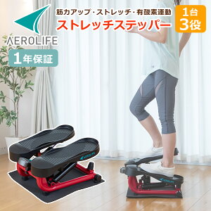 GACt Xgb`Xebp[ DR-3835 JEg[^[t ی}bgt ƒp p L_f^ _CGbg ؃g GNTTCY AEROLIFE