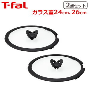 y4ԃN[|zeBt@[ KXWZbg 24cm +26cm CWjIElIV[Y o^tCKXW IWi2_Zbg L99365 + L99366 kt1 T-fal