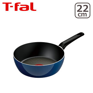 eBt@[ Cu[ECeX fB[vp 22cm D53383 KX KXΐp  T-fal t