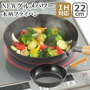 NEWOp[ ؕtCp 22cm SJ3168 IHΉ ΁iKX΁jΉ tCp S { VJ kCE͕ʓr990~Z