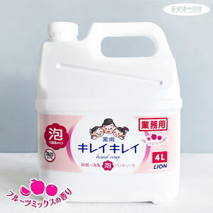 yAnh\[vzLION LCLC p Anh\[v 4L lߑւ t[c~bNX̍ ƖpiLCLCE߂pEAEpLCLCErbOTCYE􂢐ΌE