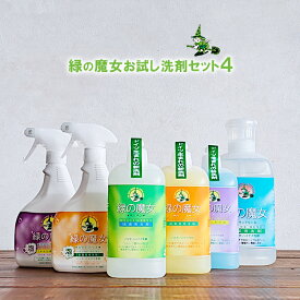 【緑の魔女・おためしセット4】緑の魔女 本体 6点セット ランドリー 820ml キッチン 420ml バス 420ml トイレ 420ml バス泡スプレー 450ml トイレ泡スプレー 450ml（大人気洗剤・GRUNE HEXE・グリューネヘクセ）ミマスクリーンケア