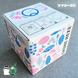 yߗp܁z΂̖ h[ 10L obNC{bNX ƖpTCY t̐܁iu[FEFEFEGRUNE HEXEEO[lwNZj~}XN[PA