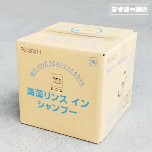 yXCVv[EƖpzuh CGLX XCVv[ 10L RbNt lߑւ ƖpTCYiCEGLXEeʁEoXpiEVv[EXEobN