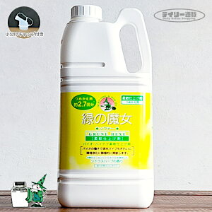 yLbvtz΂̖ \ti[ _dグ _ 2000ml 2L lߑւp ߂ VgXn[u̍ilC܁EpCvN[i[EGRUNE HEXEEO[lwNZj~}X