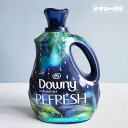 【柔軟剤】ダウニー インフュージョン バーチウォーター ＆ ボタニカル 81oz／2400ml 柔軟剤（洗濯用・衣類用柔軟剤・おしゃれ・海外輸入品・業務用・アメリカ・2.4L）DOWNY