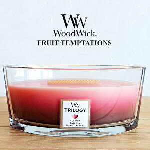 yA}LhzEbhEBbN n[XEBbNL t[ceve[VY W940054001 tOXLh tiWood WickELhEgFE΁EEA}EE