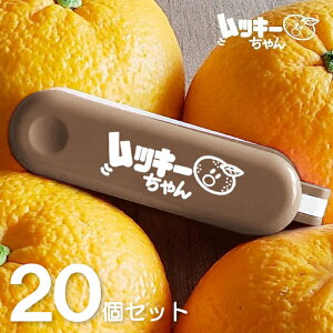 ykޔ甍E20Zbgzkރs[[ bL[ uE 20Zbg s[[ ނ ȒP ֗ FiyEv[gERpNgELb`c[E킢E