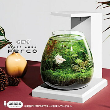 楽天市場】120×60×60 アクリル水槽(10t) : 熱帯魚のmishima 楽天市場店