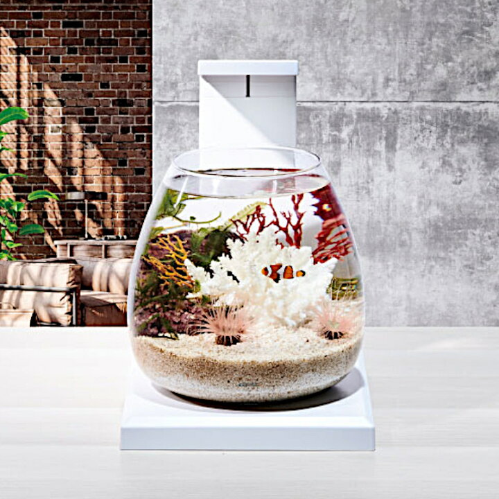楽天市場】【水槽セット】熱帯魚 水槽セット グラスアクア PERCO T-WH 