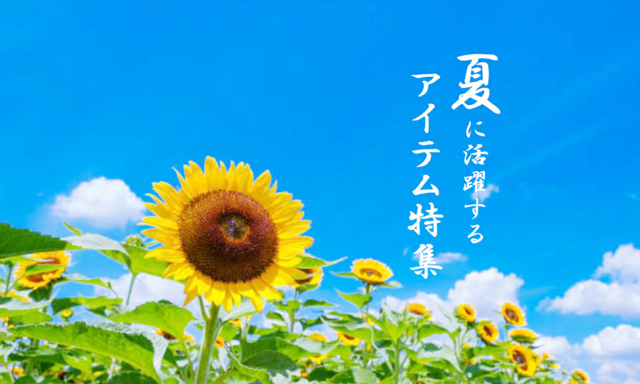 夏 ボディケア ボディウォッシュ 冷感グッズ 便利アイテム