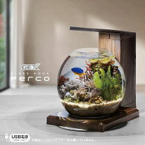 楽天市場】海水魚 水槽セット（水槽セット｜水槽・アクアリウム 