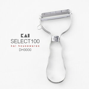 ys[[zL s[[ SELECT100 T^s[[ DH3000 ZNg100 ނiXeXs[[EނElCEDH-3000EiELb`c[jKAI