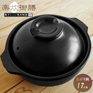 yyElpzdqWp yV Ԃ 17cm y T-02B lp ѓy ubN 1lp ԂiEEEԂElEKXΉ\EdqW