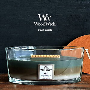 yA}LhzWood Wick A}Lh EbhEBbN n[XEBbN L R[W[Lr W940054037 tOXLh tigF̉E΁EEA}EE