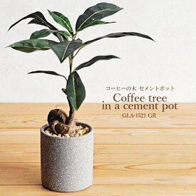 【フェイクグリーン】YDM 造花 コーヒーの木 セメントポット GLA-1521 GR 人工観葉植物 フェイクグリーン インテリアグリーン 卓上 ミニ 鉢物 樹木 リアル（玄関・リビング・ディスプレイ・デスク上・ハンドメイド・ナチュラル・店舗装飾）株式会社ポピー