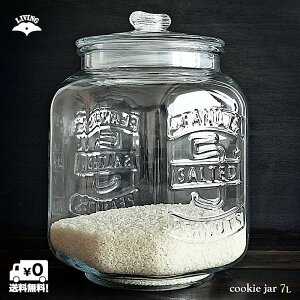 yKXezAeB[N NbL[W[ 7L Ăт  KXe AeB[N 킢 CXReiiAntique Cookie jarECXXgbJ[EāEۑeEpX^Eybgt