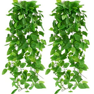 BacucinelHϗtAǊ||gX2ZbgԃO[tFCNO[݂邷ԓCeAK[f݂艺lHϗtAOz[DIY胊A͂ȂEFfBOc