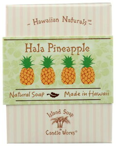 ACh\[v&Lh[NXnCAi`\[vnpCibv