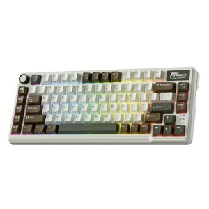 RK ROYAL KLUDGE L75 ���C�����X�K�X�P�b�gRGB���J�j�J���Q�[�~���O�L�[�{�[�h �m�u�t���AUS QWERTY ���C�A�E�g