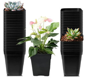 Toodall植木鉢プラスチック製50個入り多肉植物サボテン鉢育苗ポットフラワーポット軽量ガーデン用品