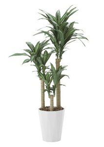 ̊ytFCNO[ԍK̖1.6m400P350