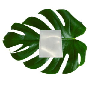 pE`ey100ZbgEzsplߑւpE`e2ml/5ml/10ml3TCY(ϐEtEN[EVv[Ή)Rh~dyʃRpNg[֗ObYrWlXoc