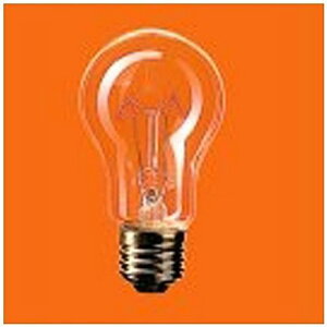 �p�i�\�j�b�N �ϐk�d�� 110V�p 100�` E26���� 70�~���a �N���A RC110V100WCD