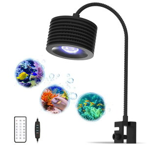 LOMINIE  Cg ANAE LED  C Ɩ TS LEDCg \ ^ p C XpCg Nbv (ASTA 20 C)