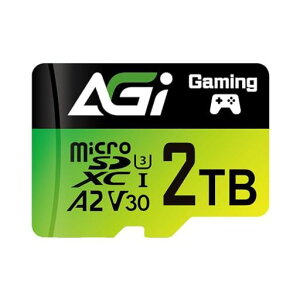 AGI TF138 microSDXC 2TB A2 U3 V30 �������[�J�[�h