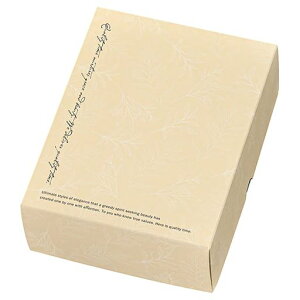 wbYMtg{bNX16x20.3x7cmL20ItzCgxtB[d؂tiHEADSBFE-GL